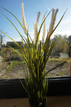 Blick1